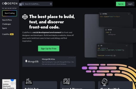 CodePen